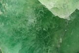 Polished Green Fluorite Freeform - Madagascar #143136-1